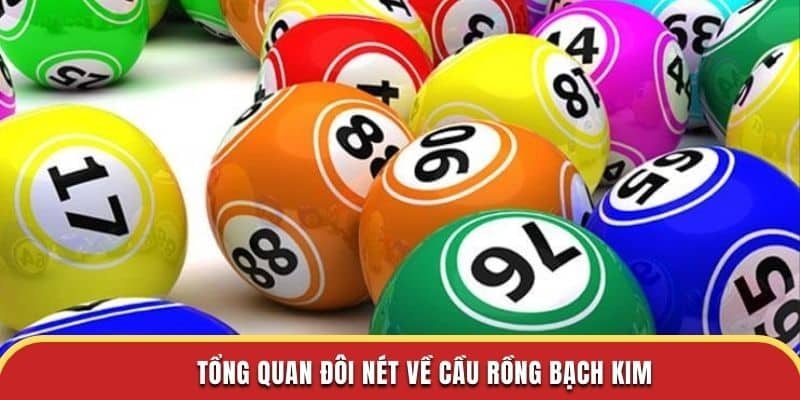 Tổng quan đôi nét về cầu rồng bạch kim